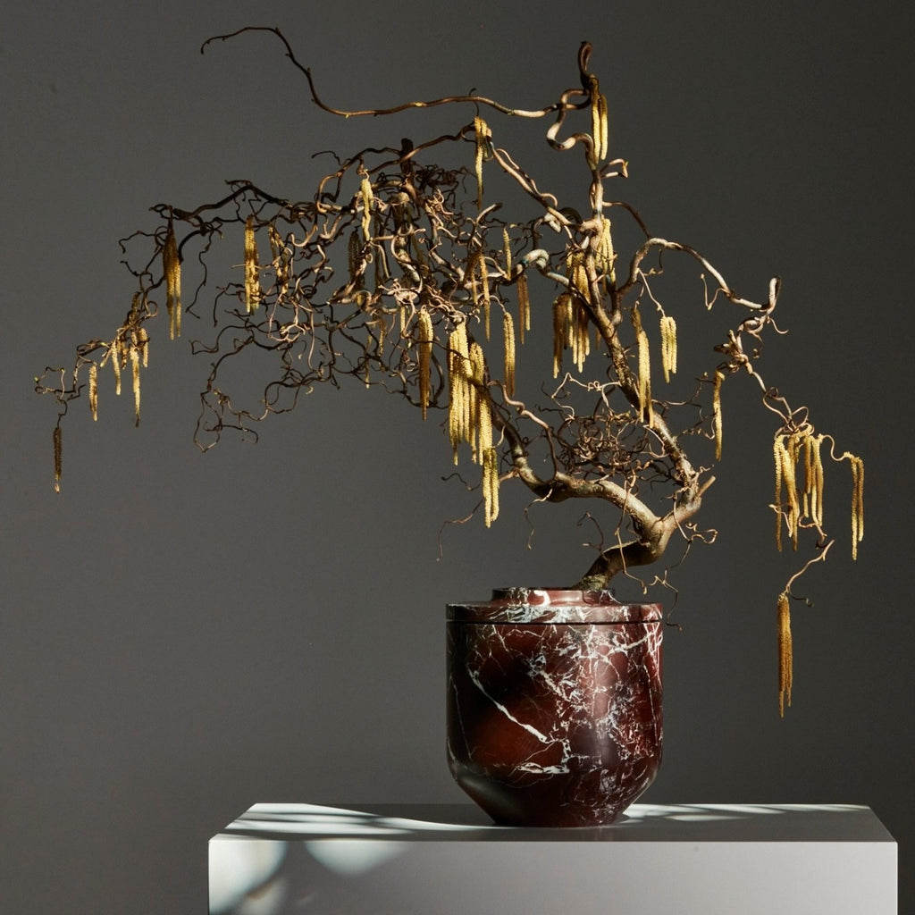 Florero Royal